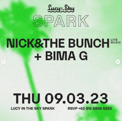 LUCY IN THE SKY SPARK - NICK&THE BUNCH