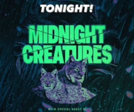 ZOO SCBD  MIDNIGHT CREATURES