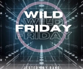 THE REPLAY KTV SENOPATI  WILD FRIDAY