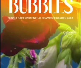 SHAMROCK JAKARTA  BLOOMS AND BUBBLES