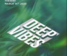 ROBOT  CO JAKARTA  DEEP VIBES