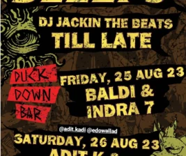 DUCK DOWN JAKARTA  BLIPS  BLEEPS