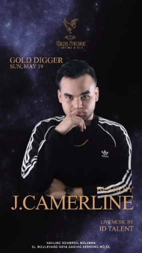 BLUE STORK JAKARTA - GOLD DIGGER