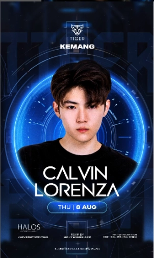 GOLDEN TIGER KEMANG - CALVIN LORENZA