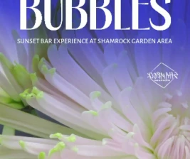 SHAMROCK JAKARTA  BLOOMS AND BUBBLES