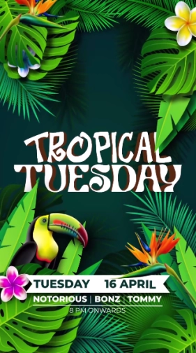 MR JAMES JAKARTA - TROPICAL TUESDAY