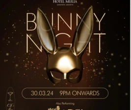 CJS BAR JAKARTA  Bunny Night