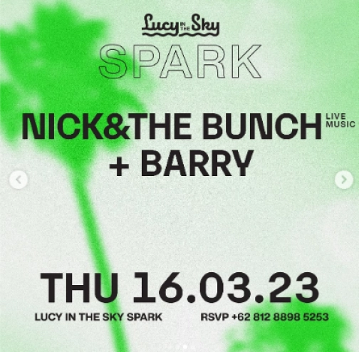 LUCY IN THE SKY SPARK - NICK & THE BUNCH