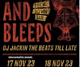 DUCK DOWN JAKARTA  BLIPS  BLEEPS