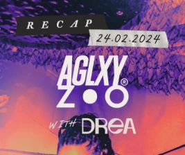 ZOO SCBD  RECAP