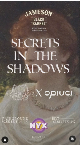 STORIES SCBD - Secret in The Shadow