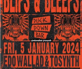 DUCK DOWN JAKARTA  BLIPS  BLEEPS