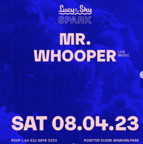 LUCY IN THE SKY SPARK - MR WHOOPER