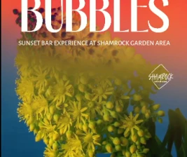 SHAMROCK JAKARTA  BLOOMS AND BUBBLES