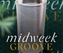 LBRTY JAKARTA  MIDWEEK GROOVE