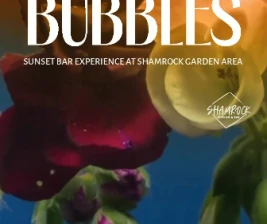 SHAMROCK JAKARTA  BLOOMS AND BUBBLES