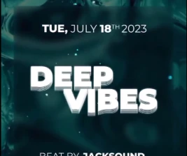 ROBOT  CO JAKARTA  DEEP VIBES