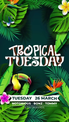 MR JAMES JAKARTA - TROPICAL TUESDAY