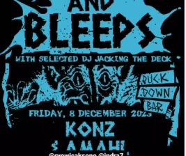 DUCK DOWN JAKARTA  BLIPS  BLEEPS