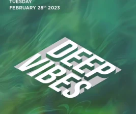 ROBOT  CO JAKARTA  DEEP VIBES