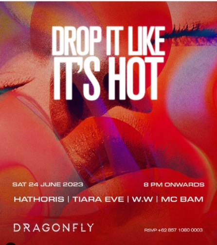 DRAGON FLY JAKARTA - DROP IT LIKE IT