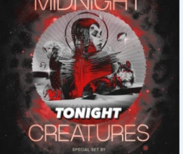 ZOO SCBD  MIDNIGHT CREATURES