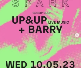 LUCY IN THE SKY SPARK  UPUP  BARRY