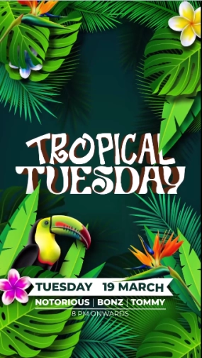 MR JAMES JAKARTA - TROPICAL TUESDAY