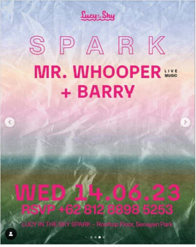 LUCY IN THE SKY SPARK - MR.WHOOPER + BARRY