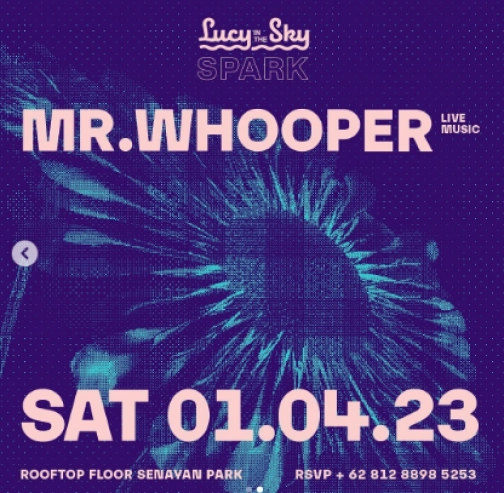 LUCY IN THE SKY SPARK - MR.WHOOPER