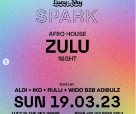 LUCY IN THE SKY SPARK  ZULU NIGHT