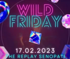 THE REPLAY KTV SENOPATI  WILD FRIDAY