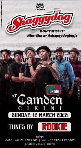 CAMDEN CIKINI - SHAGGYDOG