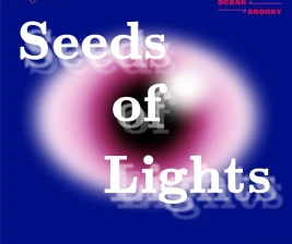 FOYA JAKARTA  Seeds of Light