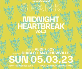 LUCY IN THE SKY SPARK  MIDNIGHT HEART BREAK VOL2