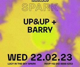 LUCY IN THE SKY SPARK  UPUP  BARRY