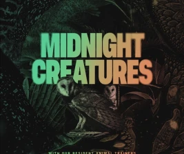 ZOO SCBD  MIDNIGHT CREATURES