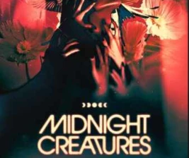 ZOO SCBD JAKARTA  MIDNIGHT CREATURES