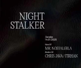 STALK SCBD JAKARTA  NIGHT STALKER