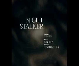 STALK SCBD JAKARTA  NIGHT STALKER