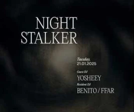 STALK SCBD JAKARTA  NIGHT STALKER