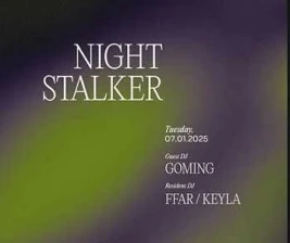 STALK SCBD JAKARTA  TUESDAY NIGHT STALKER