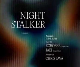 STALK SCBD JAKARTA  NIGHT STALKER