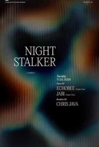 STALK SCBD JAKARTA - NIGHT STALKER