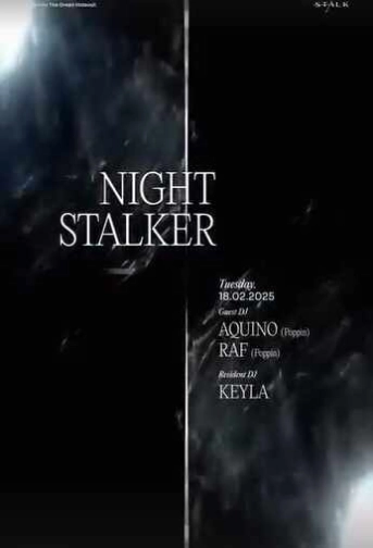 STALK SCBD JAKARTA - NIGHT STALKER