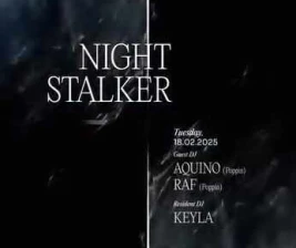 STALK SCBD JAKARTA  NIGHT STALKER